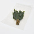 Sasa 3 Leaf - image 3