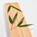 Sasa 3 Leaf - image 2