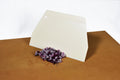 Board Scraper Cards - image 4