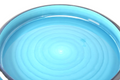 Blue Round Sushi Serving Tray – 55 cm - image 2